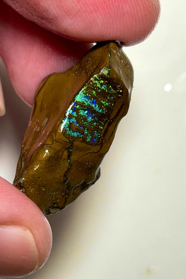 Queensland Boulder Matrix opal 43cts rub / rough Winton Exotic Bright & Gorgeous Multifires 30x17x12mm WAD55