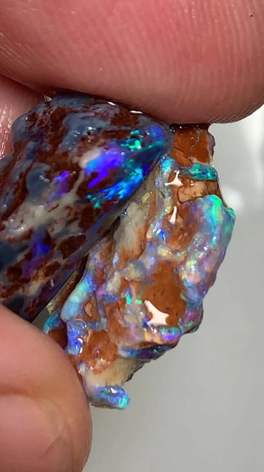 Opal Fever Mate Auction