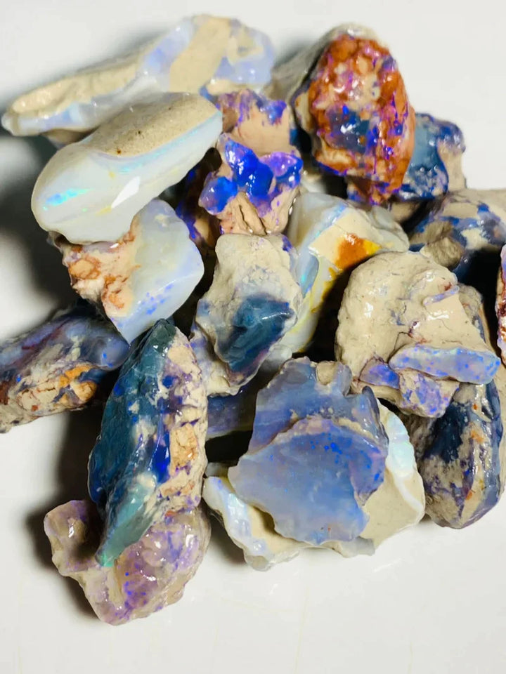 Opal Fever Mate Auction