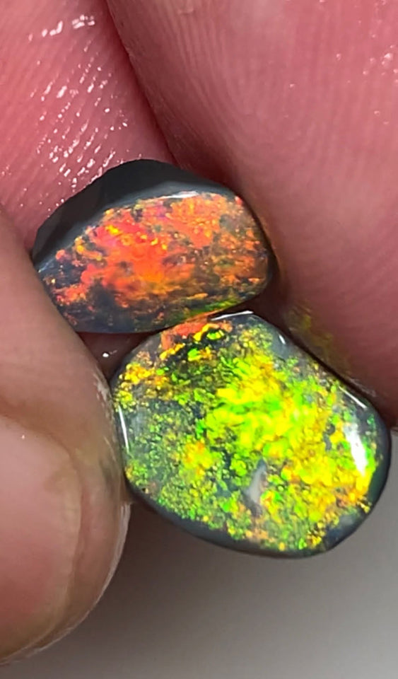 Lightning Ridge Rough / Rub Black opal Pair Miners Bench®  2.2cts Exotic Super Bright Vibrant & Vivid Multifires  11x8x1mm & 9x6x1mm WSU52