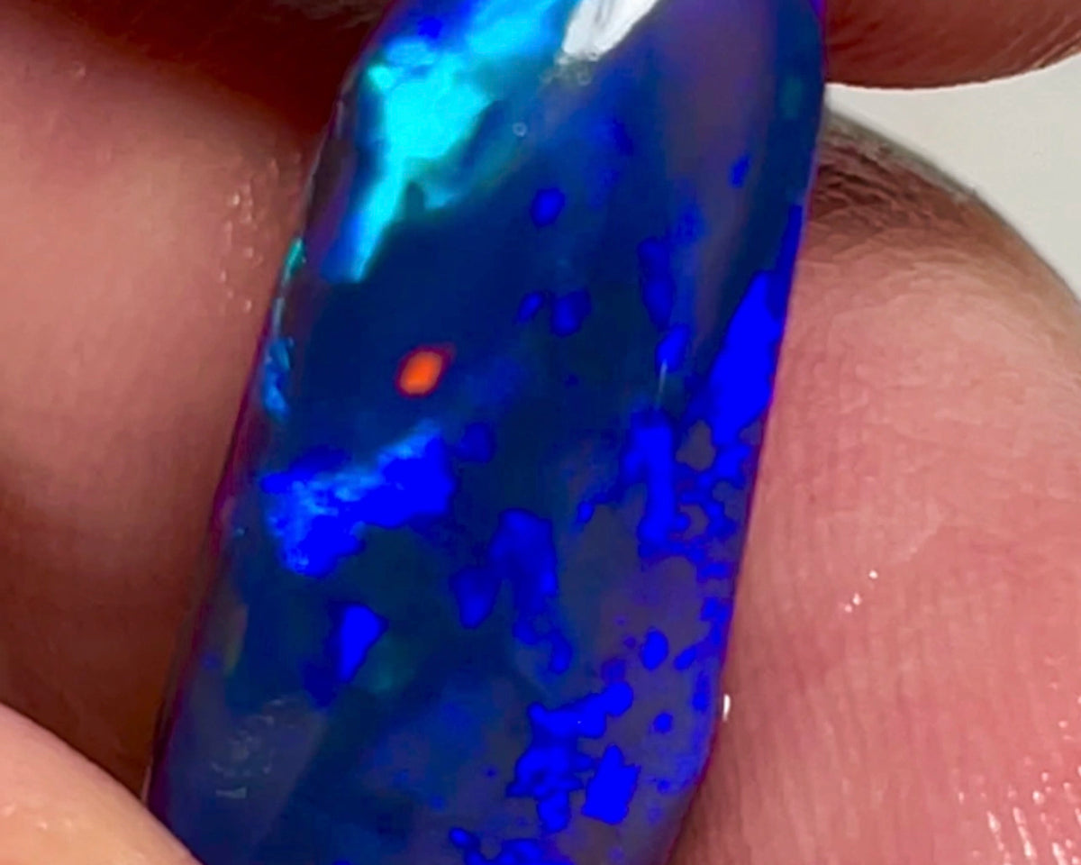 Lightning Ridge Black knobby opal rub/rough 11.25cts Loaded with gorgeous Blues with some green & Red flashes. Polish & Set  22.00x10.00x8.00mm NEW967