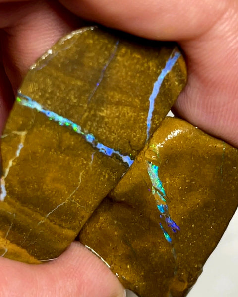 Queensland Boulder Matrix opal 72cts rough Pair Winton Nice Sized With Bars to expose & explore 40x20x8mm & 27x18x6mm WAD49