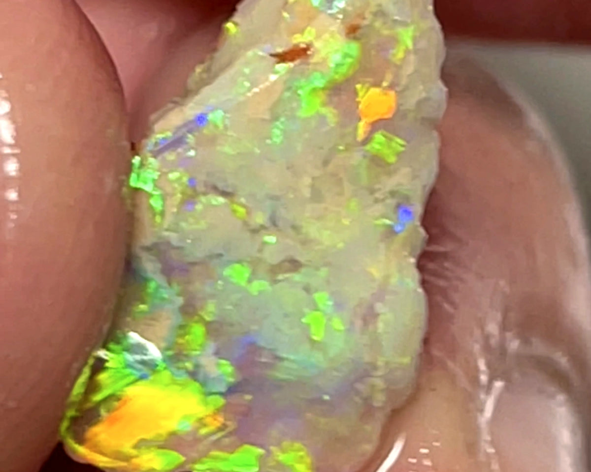 Lightning Ridge Opal Rough n Rub Single Dark Base Crystal knobby formation 3.5cts Showing very Bright Multifires 15.000 x 10.000 x 4.000 mm wae68