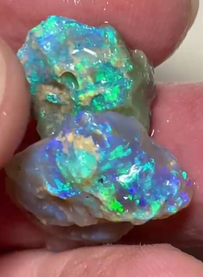 Coocoran Dark Crystal Knobby opal rough pair to cut 23.95cts Gorgeous Bright Green/blue dominant fires to cut 23x16x7mm & 18x14x8mm NEW954