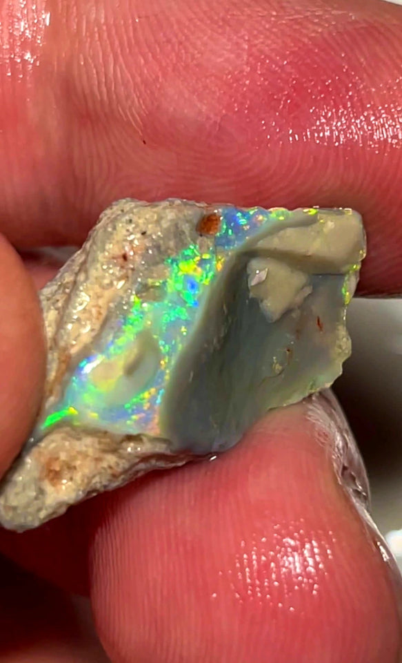 Lightning Ridge Rough Opal Dark Base Untouched Seam 13.5cts High Grade Bright Multifires in stunning bar 29x14x8mm WAC08