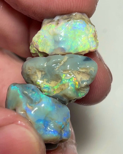 Lightning Ridge Rough Nice Sized Knobby Trio 49.00cts Bright Multicolours to cut explore and expose 23x18x12mm to 18x10x9mm Sold as Gamble Auction97