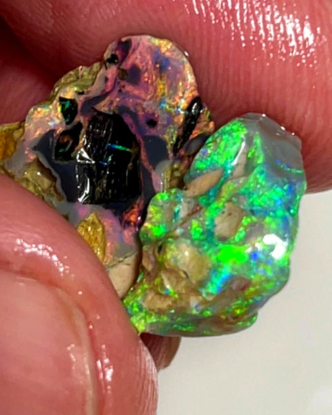 Lightning Ridge Rough Opal 8.75cts Dark Crystal Fossil Formations showing nice Reds &  Bright Multicolours 14x12x4 & 13x10x6 mm WAE54