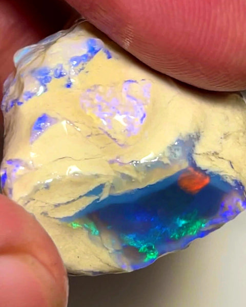 Lightning Ridge Rough Opal Dark Base Crystal Big Knobby 70cts Blues Red Green Multifires in stunning bar  35x25x15mm WAB92