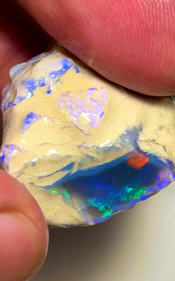 Lightning Ridge Rough Opal Dark Base Crystal Big Knobby 70cts Blues Red Green Multifires in stunning bar  35x25x15mm WAB92