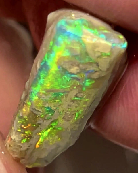 Lightning Ridge Rough Opal 11cts Opalised wood fossil Crystal Saturation of Vivid Vibrant Fires showing 23x12x8mm WAC10