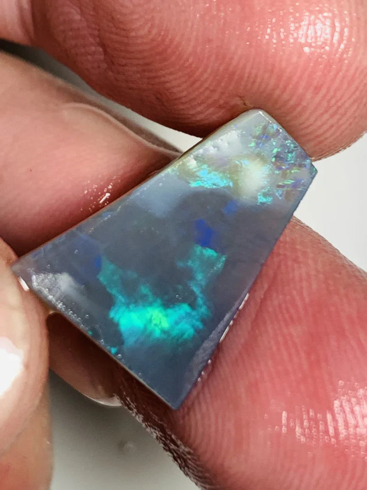 Opal Fever Mate Auction