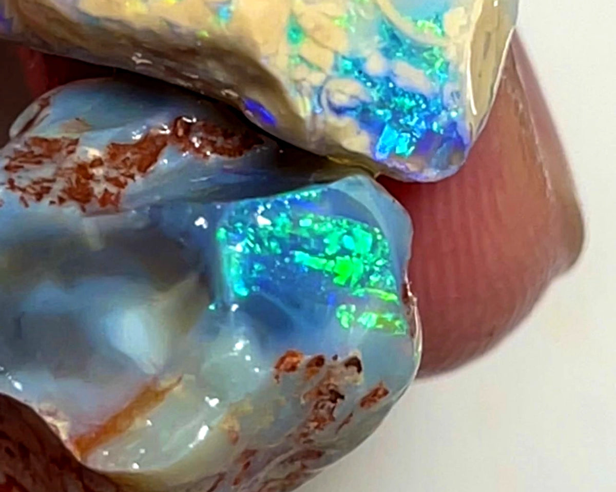 Lightning Ridge Rough Opal 33cts Pair Bright Dark Base Knobby Nice Bright Multi colour fires to Cut / carve & polish 21x18x14mm to 19x14x7mm 1011