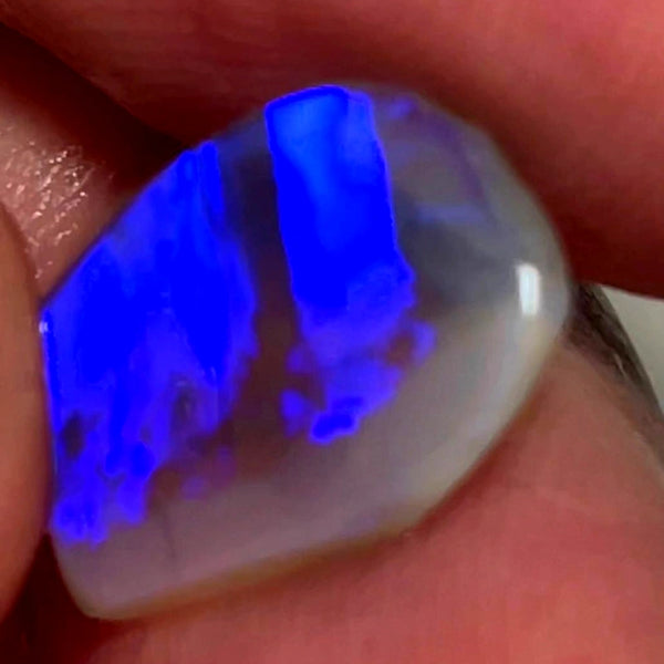 Lightning Ridge Rough / Rub /Preform Dark Base Crystal Knobby opal Miners Bench® 4cts Clean Gorgeous Bright Blues 16x11x3mm WAC35