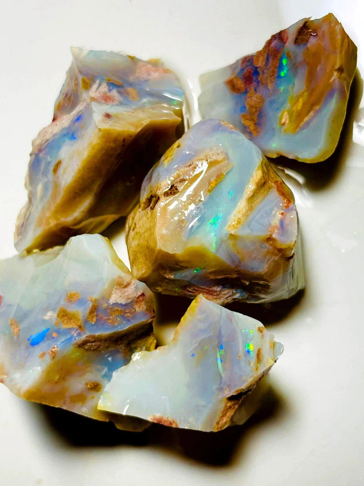 Opal Fever Mate Auction