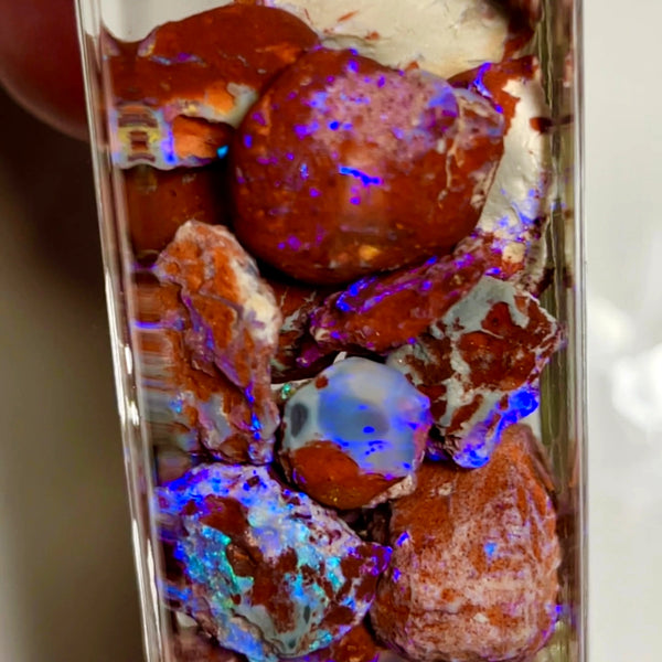 Lightning Ridge Rough Opal Parcel 145cts GAMBLE rough Red Host rock Bright Mostly Blue colour 20x15x10 to 8x7x6mm WAE60