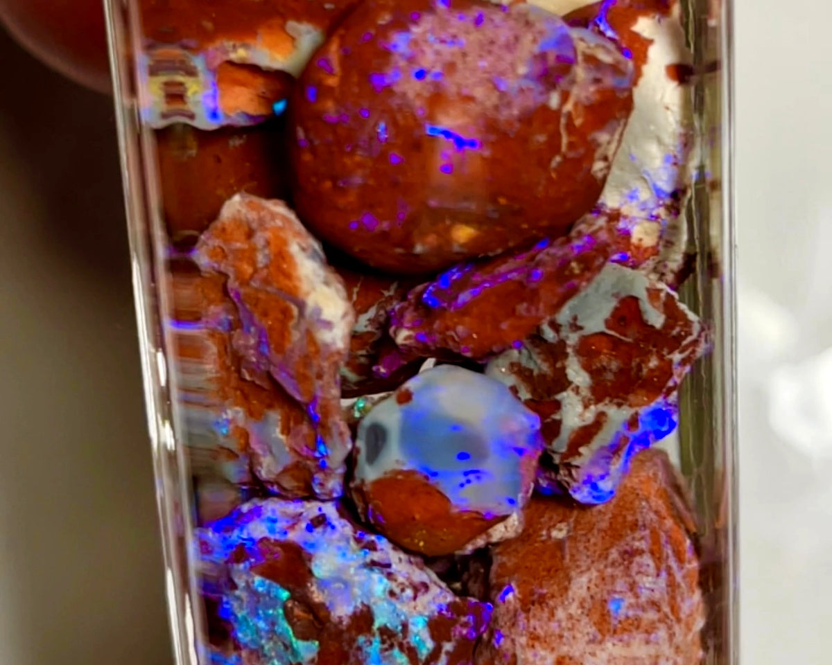 Lightning Ridge Rough Opal Parcel 145cts GAMBLE rough Red Host rock Bright Mostly Blue colour 20x15x10 to 8x7x6mm WAE60