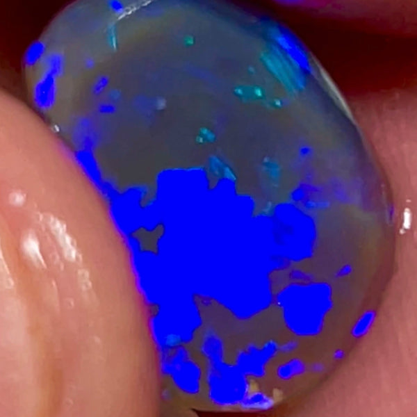 Lightning Ridge Gem Bright Dark Base Crystal Knobby Rub/preform 3.95cts Gorgeous Full face of mixed patterns with Bright Royal Blue fires 14x9x3.5mm NSW042