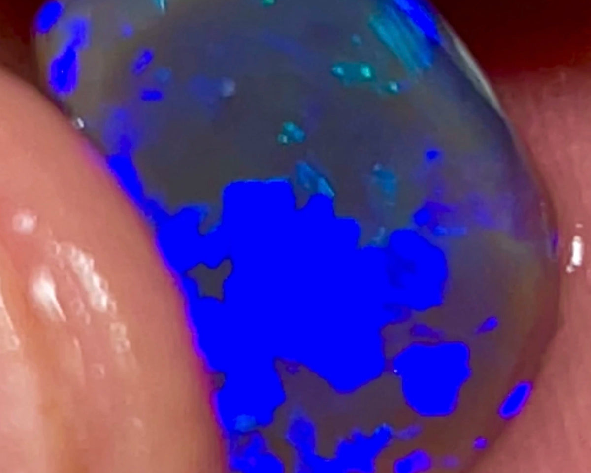 Lightning Ridge Gem Bright Dark Base Crystal Knobby Rub/preform 3.95cts Gorgeous Full face of mixed patterns with Bright Royal Blue fires 14x9x3.5mm NSW042