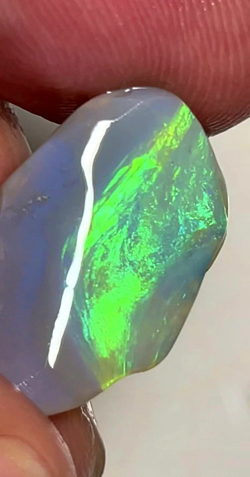 Opal Fever Mate Auction