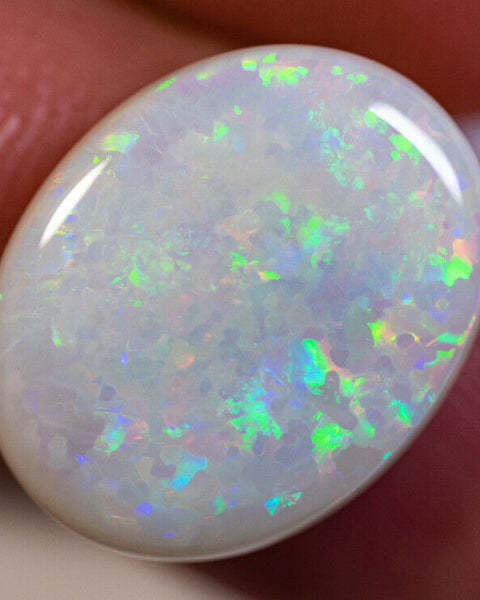 Australian Semi Black Opal Gemstone 8.5cts N8 Body Tone B4 Brightness Stunning Multi fires Floral pattern 19x15x4.5mm GEM888