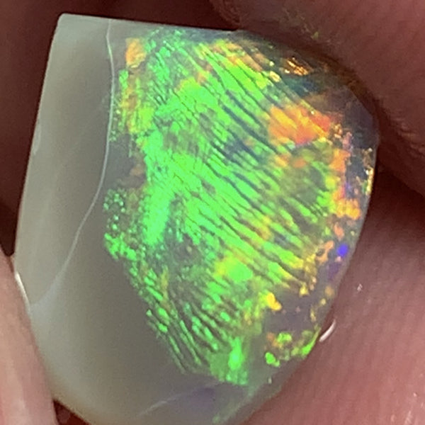 Australian Opal Crystal Rough / Rub / Preform 1.5cts Ultra rare Finger Print Pattern combo pattern amazing Super Bright Multi fires 11x9x2mm WSD950