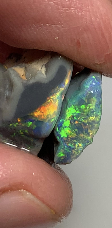 Australian Rough opal GEM GRADE Mulga® Field Blacks Pair 13cts  Beautiful & Bright Fires for cutters 18x13x6mm & 16x11x4mm WSH16