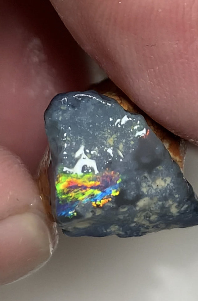 Australian Rough Opal 25cts N4 Black Seams single sat on host rock Bright reds & rainbow of fires showing in the exposed bar lots Potential  21x17x14mm WSN44