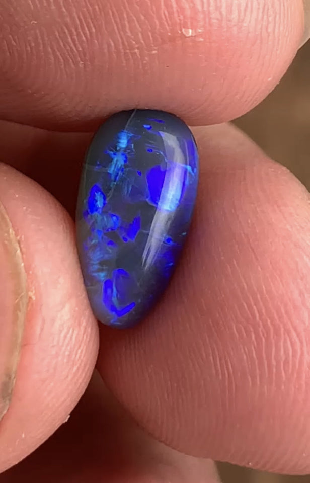 Australian Semi Black Opal Gemstone 2.5cts Gem Grade  N5 Body Tone B3 Brightness Crystal body with Stunning Blue fires 12x7x3.5mm WSP53