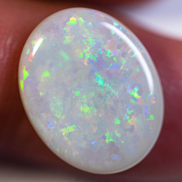 Australian Semi Black Opal Gemstone 8.5cts N8 Body Tone B4 Brightness Stunning Multi fires Floral pattern 19x15x4.5mm GEM888