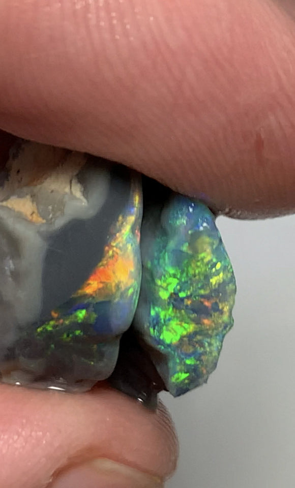 Australian Rough opal GEM GRADE Mulga® Field Blacks Pair 13cts  Beautiful & Bright Fires for cutters 18x13x6mm & 16x11x4mm WSH16