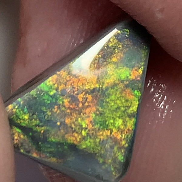 Australian Black Opal Rough Rub GEM GRADE 6.2cts Mulga® Field of Grawin Bright and Vibrant MultiFires Top Notch!!! WSC699