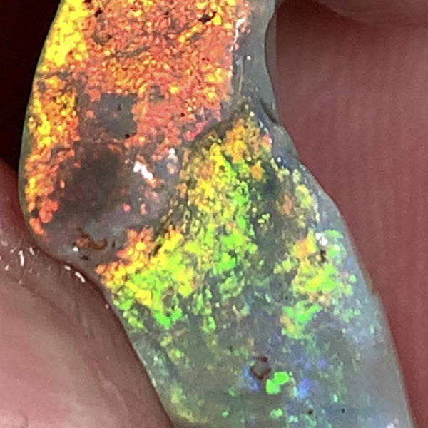 Australian Rough Opal 5.8cts Exquisite Handpicked Select Semi Black Untouched Seam Super Bright Multi colour fires to Cut / carve 20x8x6mm GEM1949