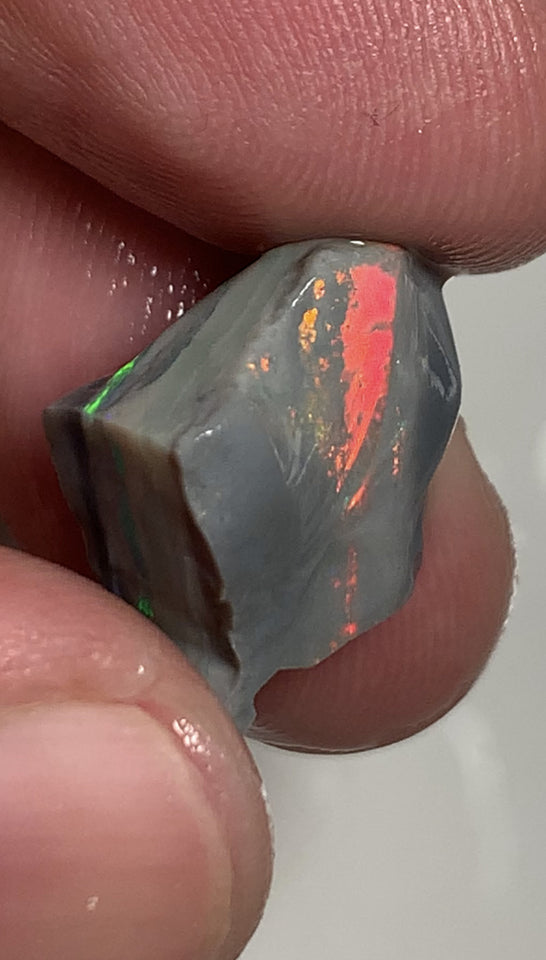 Australian Rough Opal Semi Black Seam Cutter 11.5cts High Grade Bright Lovely Reds on Tops and Second Green bar 17x14x7mm WSR56