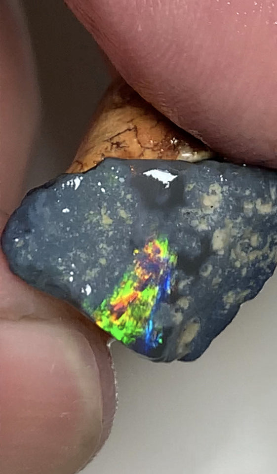 Australian Rough Opal 25cts N4 Black Seams single sat on host rock Bright reds & rainbow of fires showing in the exposed bar lots Potential  21x17x14mm WSN44