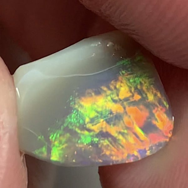 Australian Opal Crystal Rough / Rub / Preform 1.5cts Ultra rare Finger Print Pattern combo pattern amazing Super Bright Multi fires 11x9x2mm WSD950