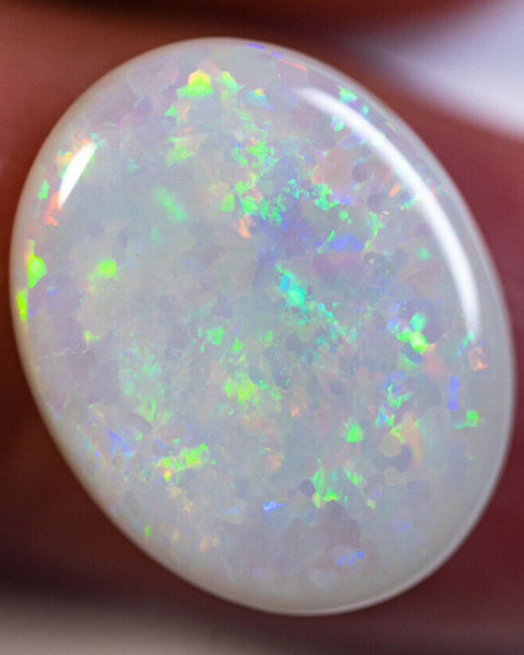 Australian Semi Black Opal Gemstone 8.5cts N8 Body Tone B4 Brightness Stunning Multi fires Floral pattern 19x15x4.5mm GEM888