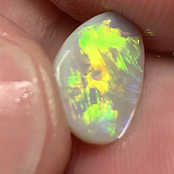 Australian Opal Amazing Gem Quality Semi Black Rub 1.6cts Rough / Rub / Preform Clean Super bright MULTIFIRES Broadflash & Straw Combo 12x9x2mm WSD880A