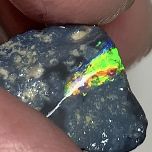 Australian Rough Opal 25cts N4 Black Seams single sat on host rock Bright reds & rainbow of fires showing in the exposed bar lots Potential  21x17x14mm WSN44