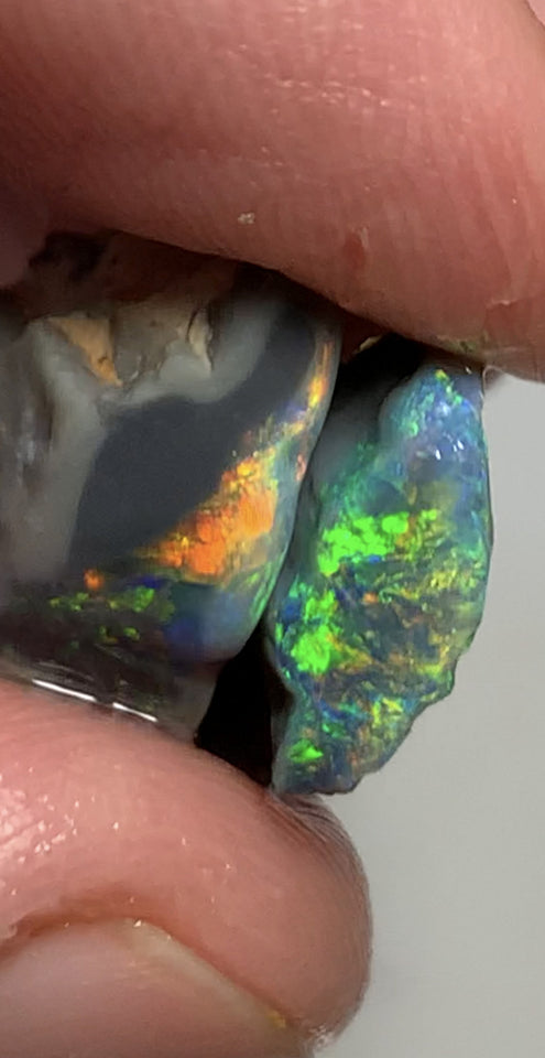 Australian Rough opal GEM GRADE Mulga® Field Blacks Pair 13cts  Beautiful & Bright Fires for cutters 18x13x6mm & 16x11x4mm WSH16