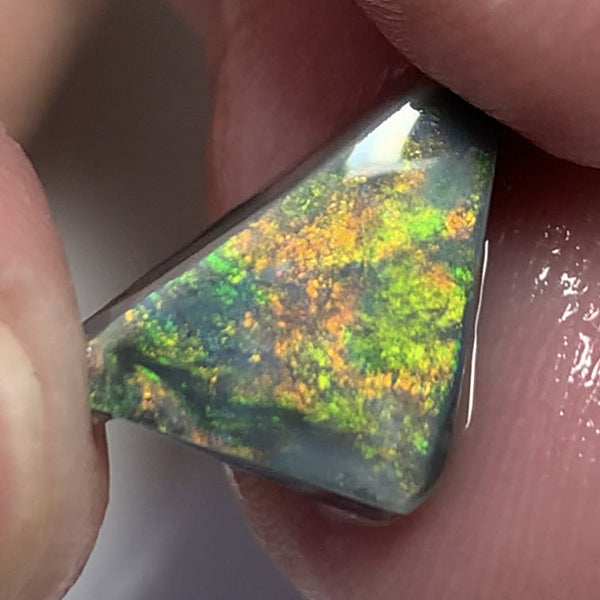 Australian Black Opal Rough Rub GEM GRADE 6.2cts Mulga® Field of Grawin Bright and Vibrant MultiFires Top Notch!!! WSC699