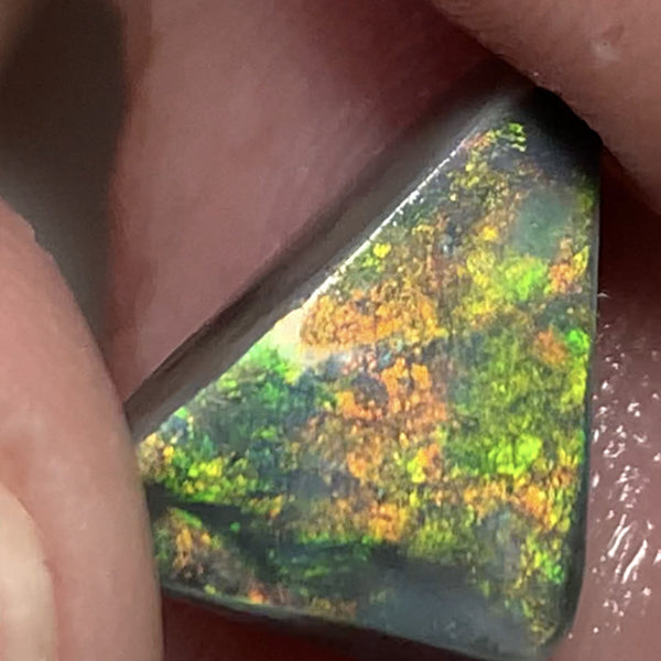 Australian Black Opal Rough Rub GEM GRADE 6.2cts Mulga® Field of Grawin Bright and Vibrant MultiFires Top Notch!!! WSC699