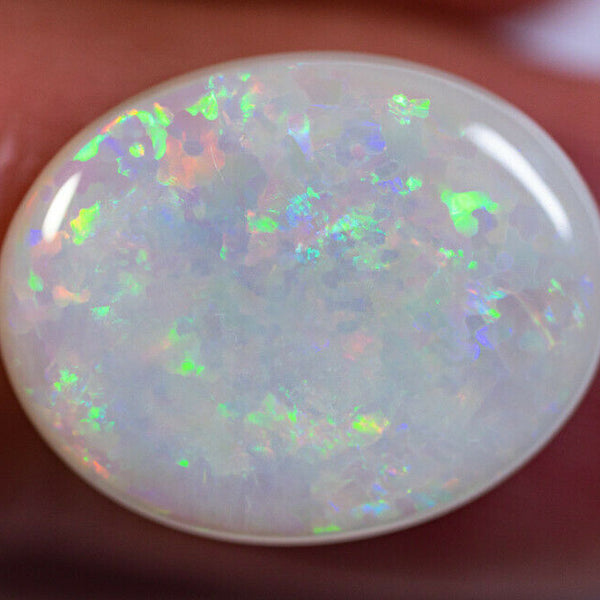 Australian Semi Black Opal Gemstone 8.5cts N8 Body Tone B4 Brightness Stunning Multi fires Floral pattern 19x15x4.5mm GEM888