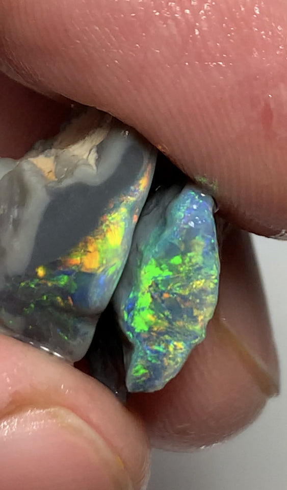 Australian Rough opal GEM GRADE Mulga® Field Blacks Pair 13cts  Beautiful & Bright Fires for cutters 18x13x6mm & 16x11x4mm WSH16