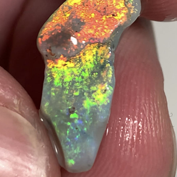 Australian Rough Opal 5.8cts Exquisite Handpicked Select Semi Black Untouched Seam Super Bright Multi colour fires to Cut / carve 20x8x6mm GEM1949