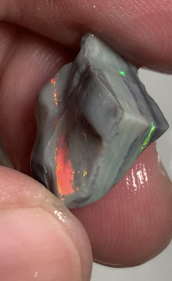 Australian Rough Opal Semi Black Seam Cutter 11.5cts High Grade Bright Lovely Reds on Tops and Second Green bar 17x14x7mm WSR56