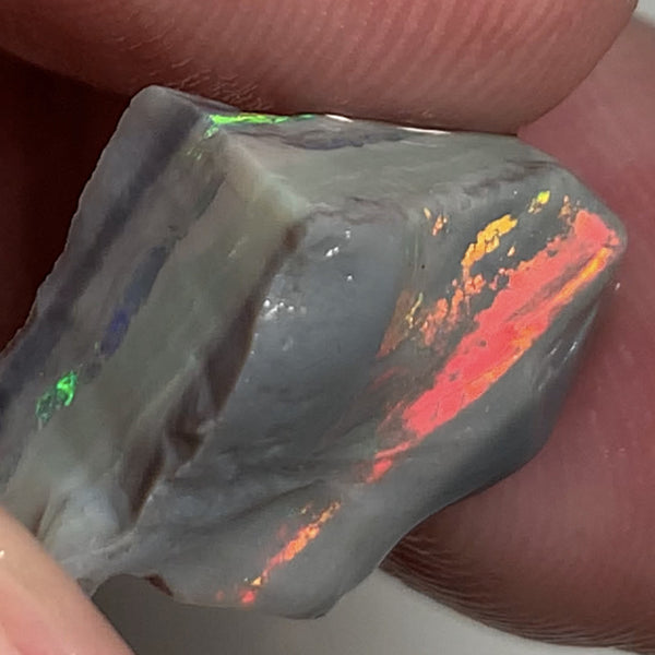 Australian Rough Opal Semi Black Seam Cutter 11.5cts High Grade Bright Lovely Reds on Tops and Second Green bar 17x14x7mm WSR56