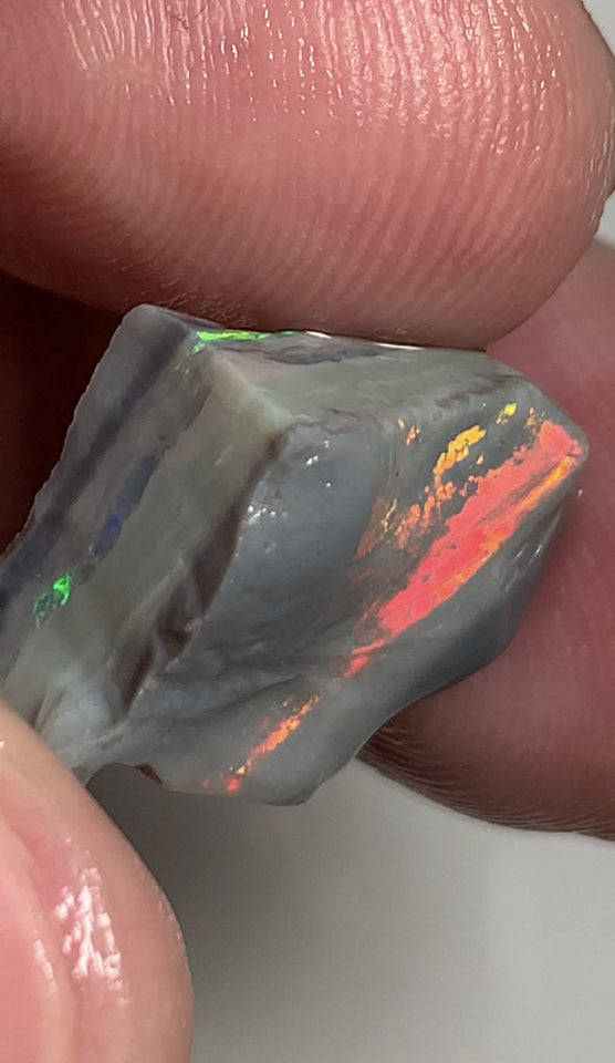 Australian Rough Opal Semi Black Seam Cutter 11.5cts High Grade Bright Lovely Reds on Tops and Second Green bar 17x14x7mm WSR56